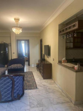 Mohandessin Classy Duplex Castle